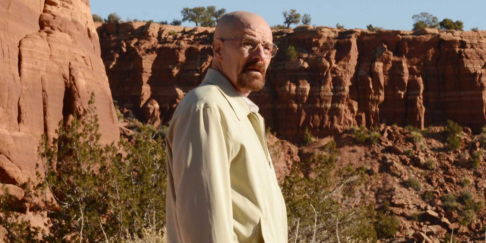 Bryan Cranston as Walter White in Breaking Bad
