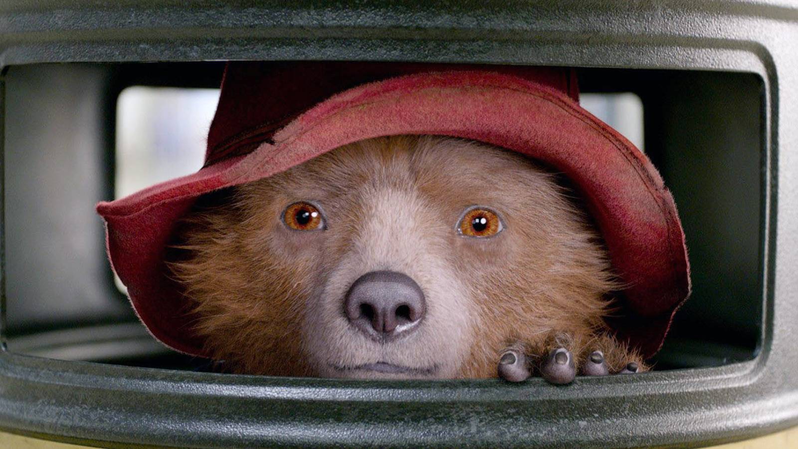 ‘Paddington’ Officially Returns With a Special New Release in November