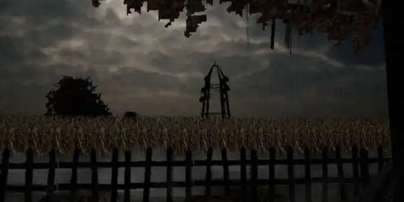 A Night on the Farm Video Game