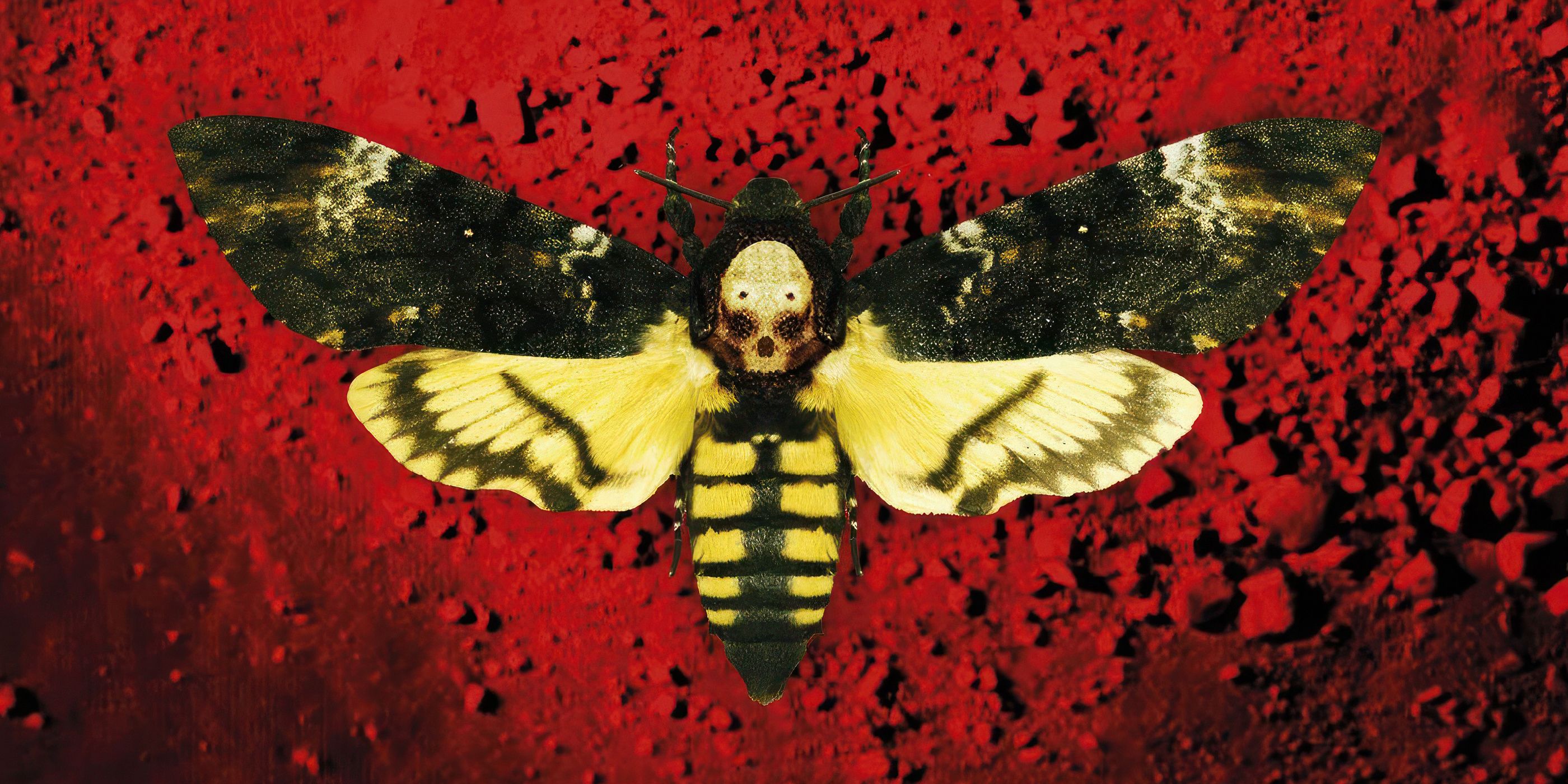 10 Best Psychological Horror Books of All Time, Ranked image