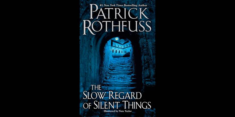 The Slow Regard of Silent Things book cover