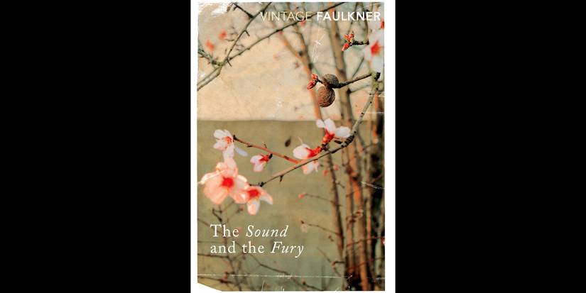 The Sound and the Fury book cover