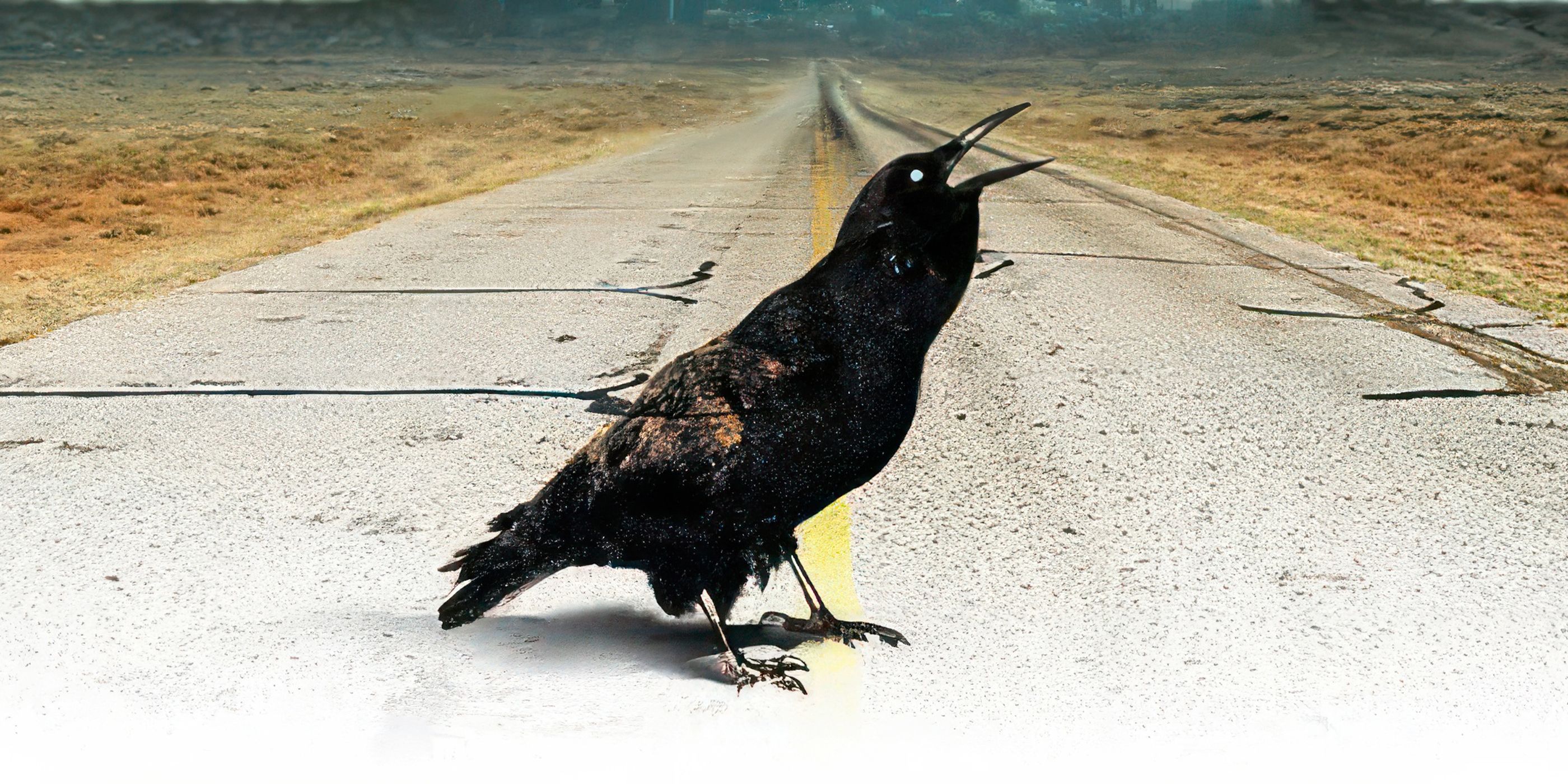 7 Essential Stephen King Books You Must Read at Least Once image