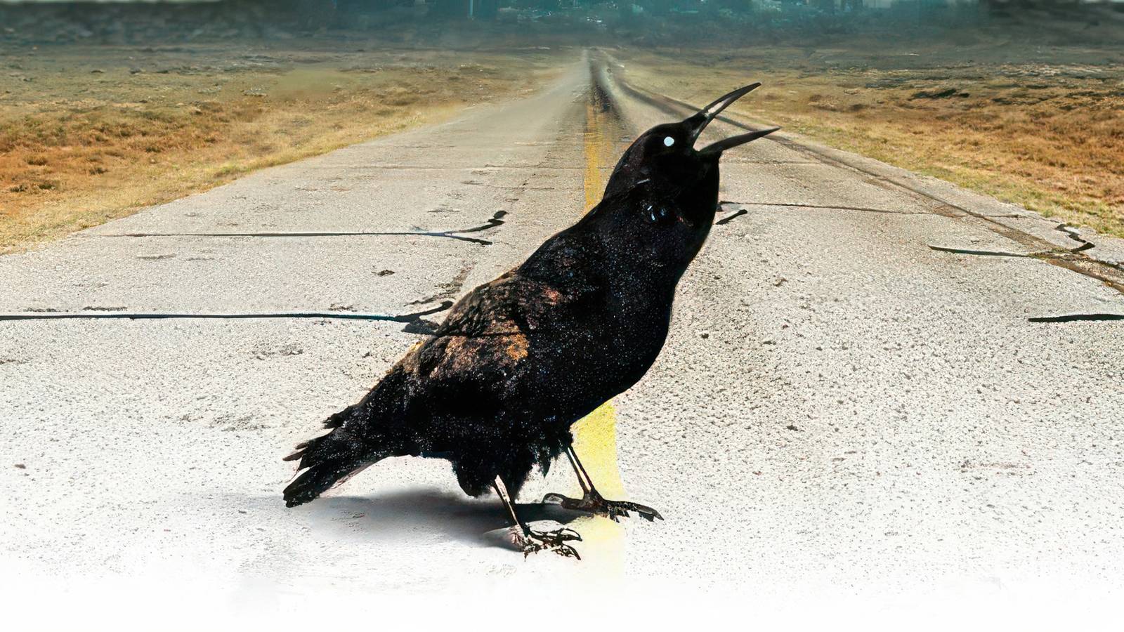 7 Essential Stephen King Books You Must Read at Least Once