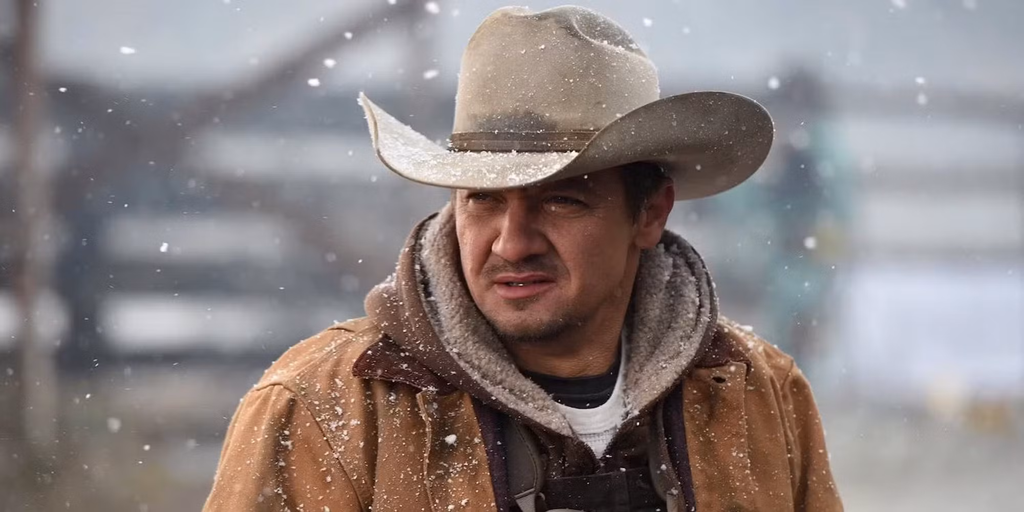 Jeremy Renner's 5 Best Movie Masterpieces, Ranked