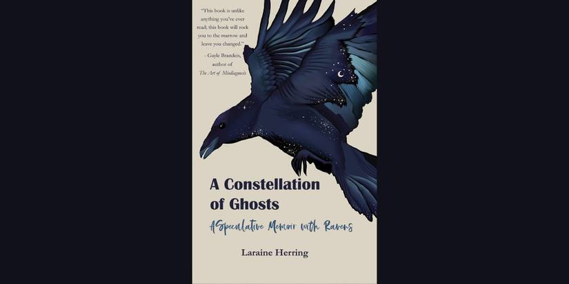 9 Experimental Memoirs That Are 10/10 Masterpieces