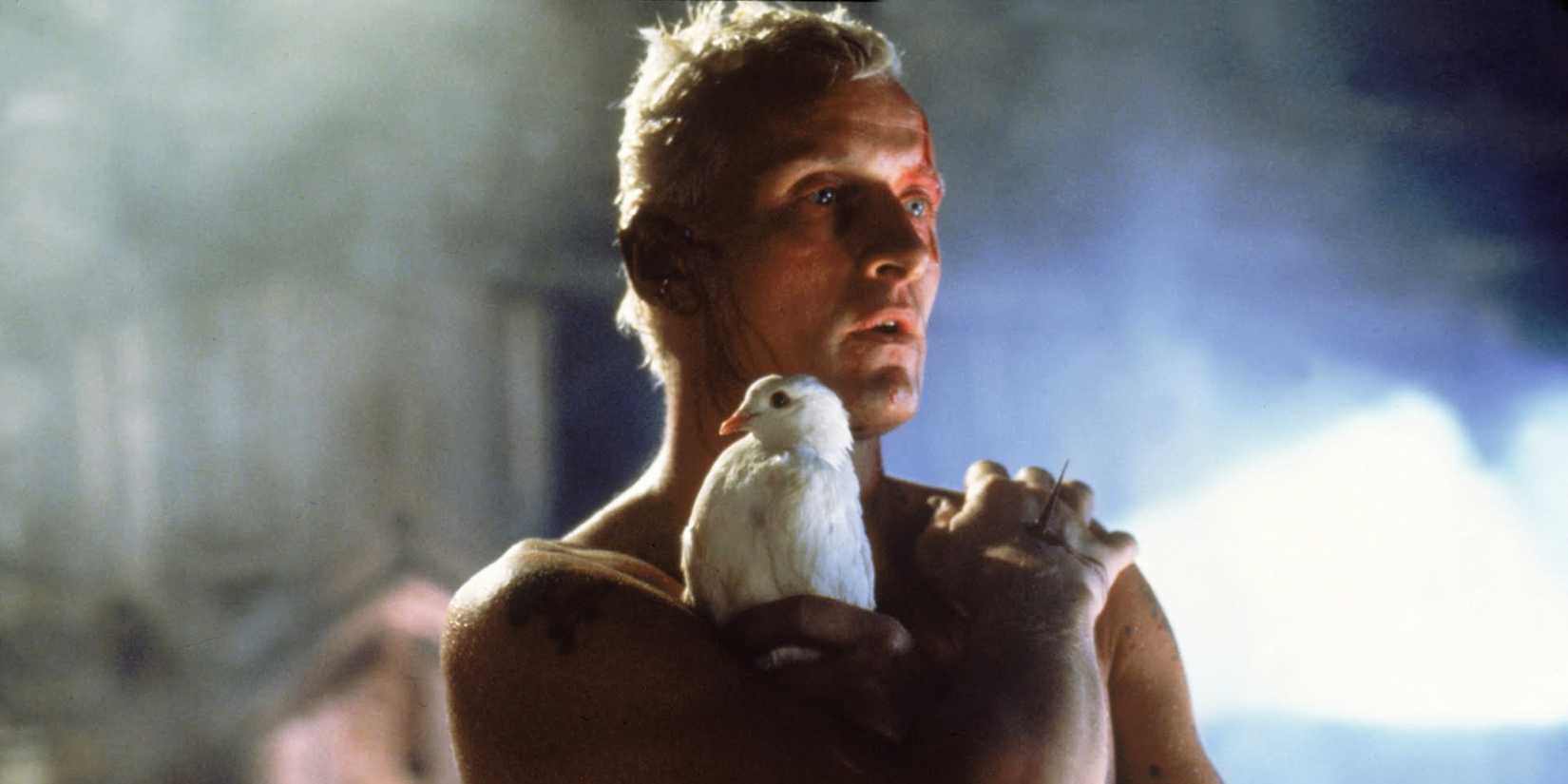 Rutger Hauer as Roy Batty holding a bird in Blade Runner (1982)