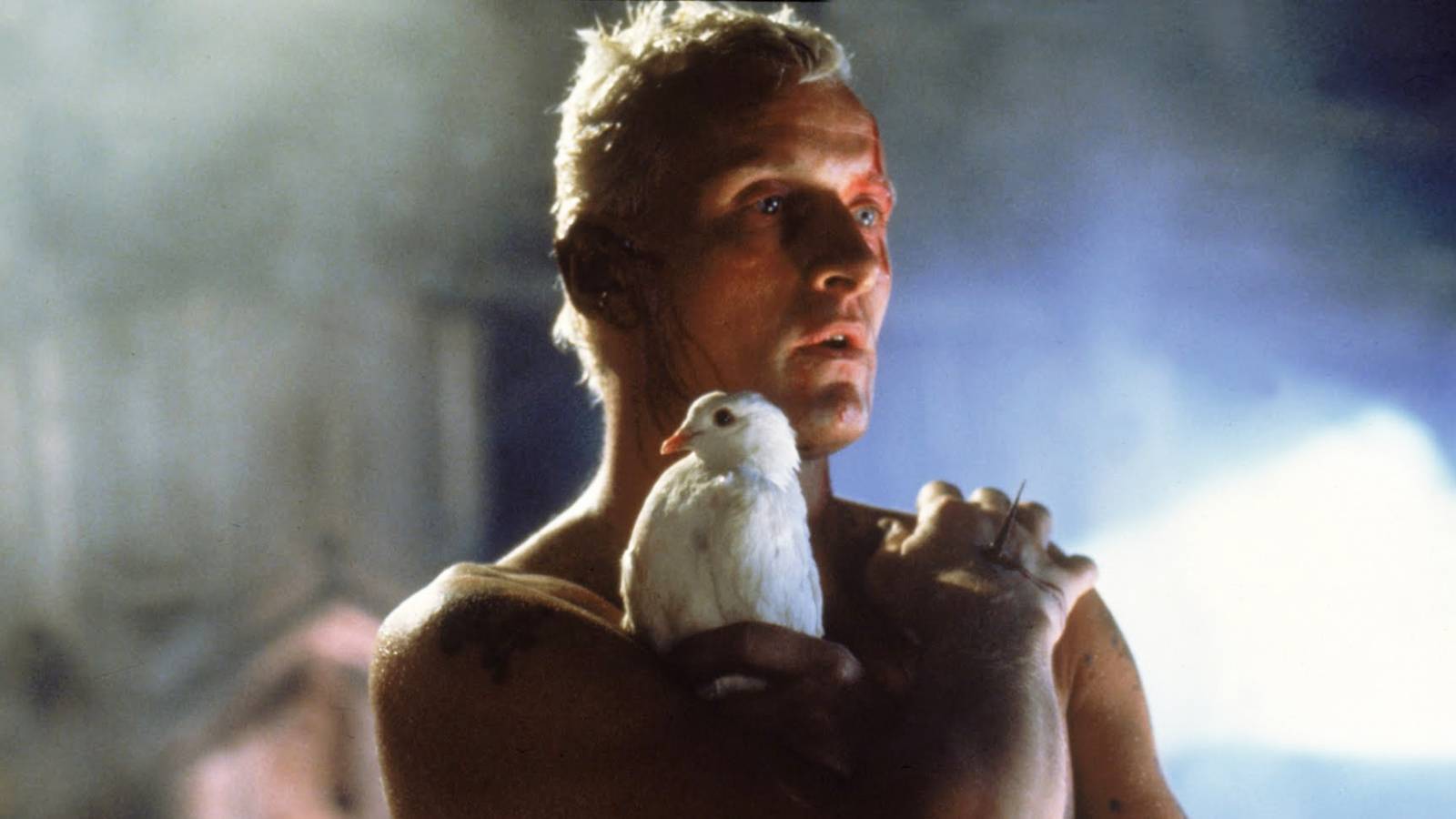 The 10 Best-Looking Movies of the 20th Century, Ranked