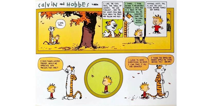 Calvin and Hobbes Life