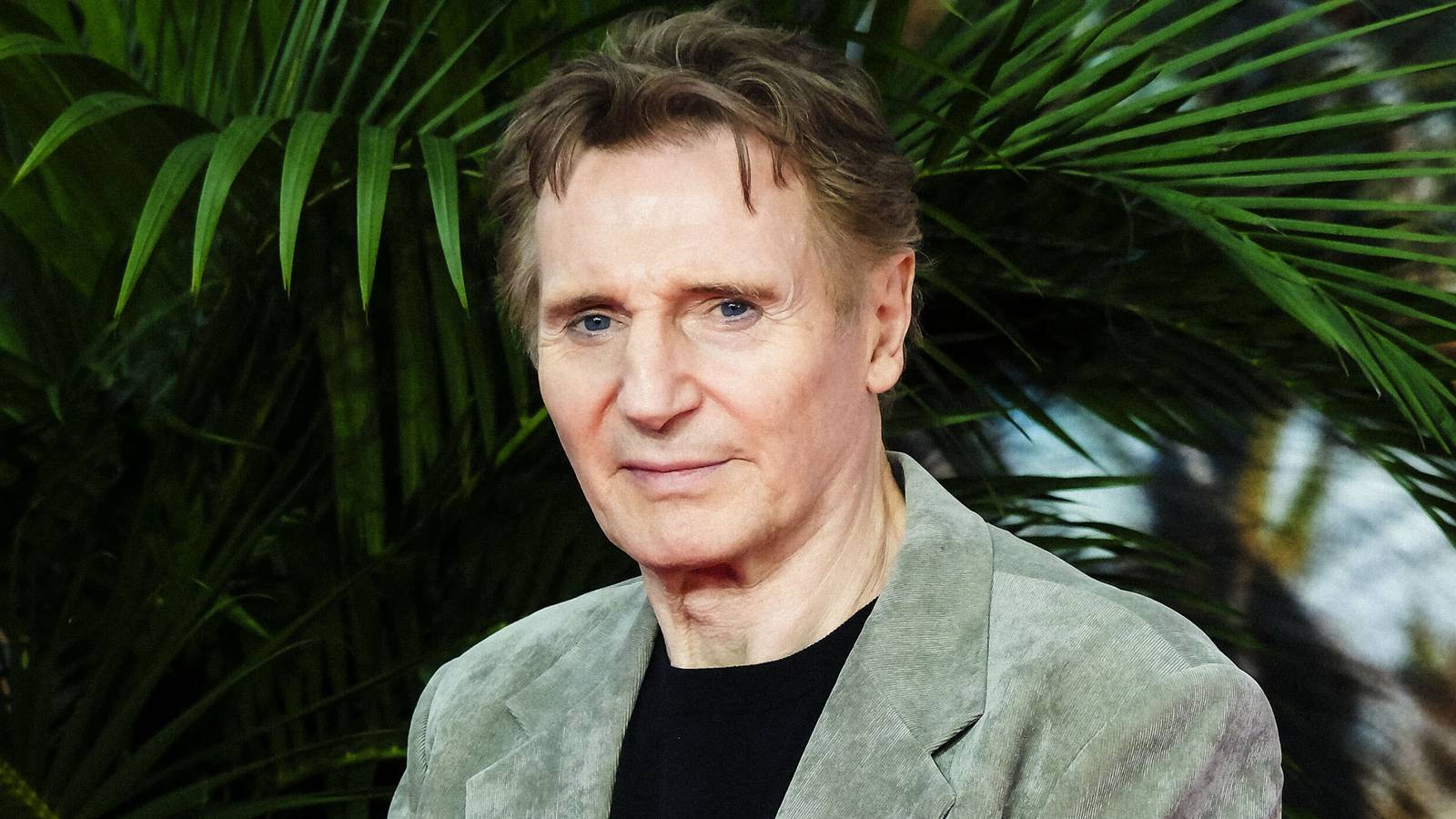 Actor Liam Neeson posing in front of a green palm leaf background.