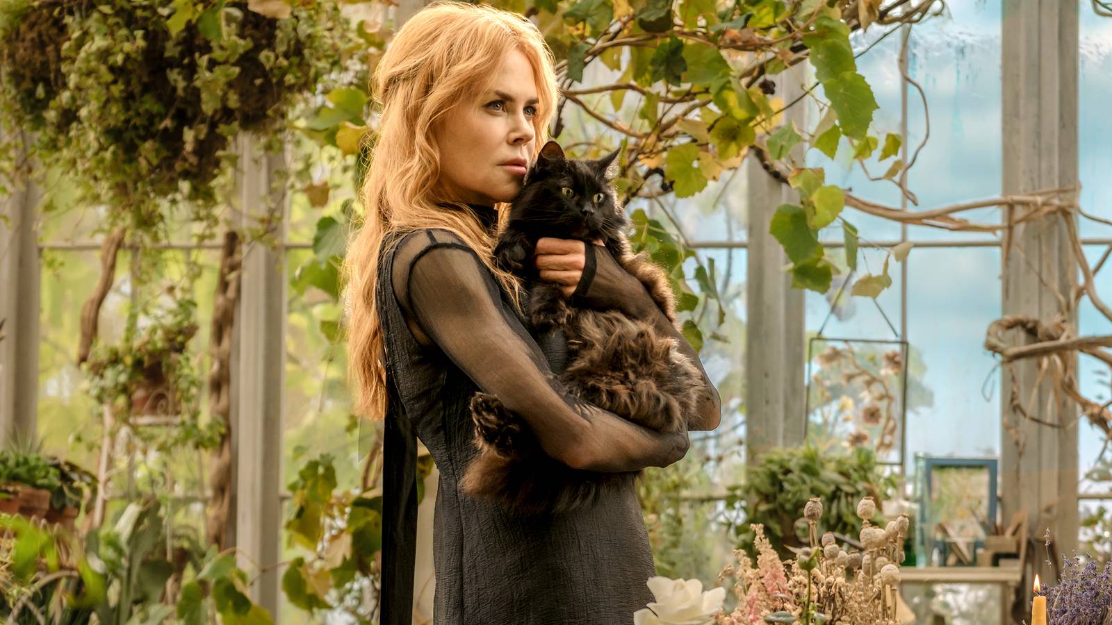 Every 'Practical Magic' Book, Ranked According to Goodreads