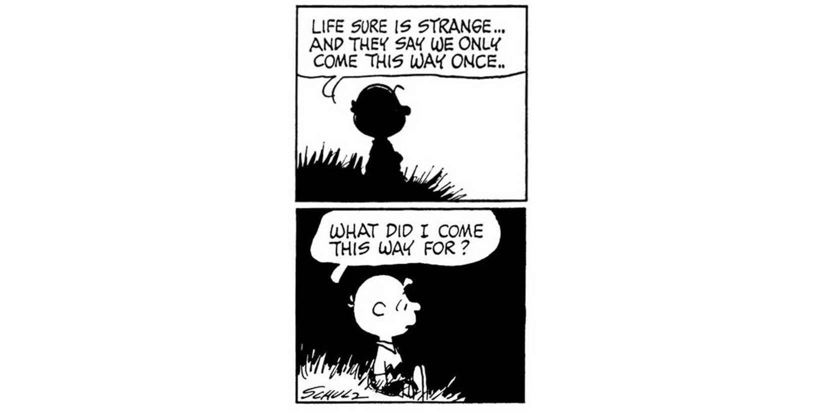 A Peanuts comic strip by Charles Schulz