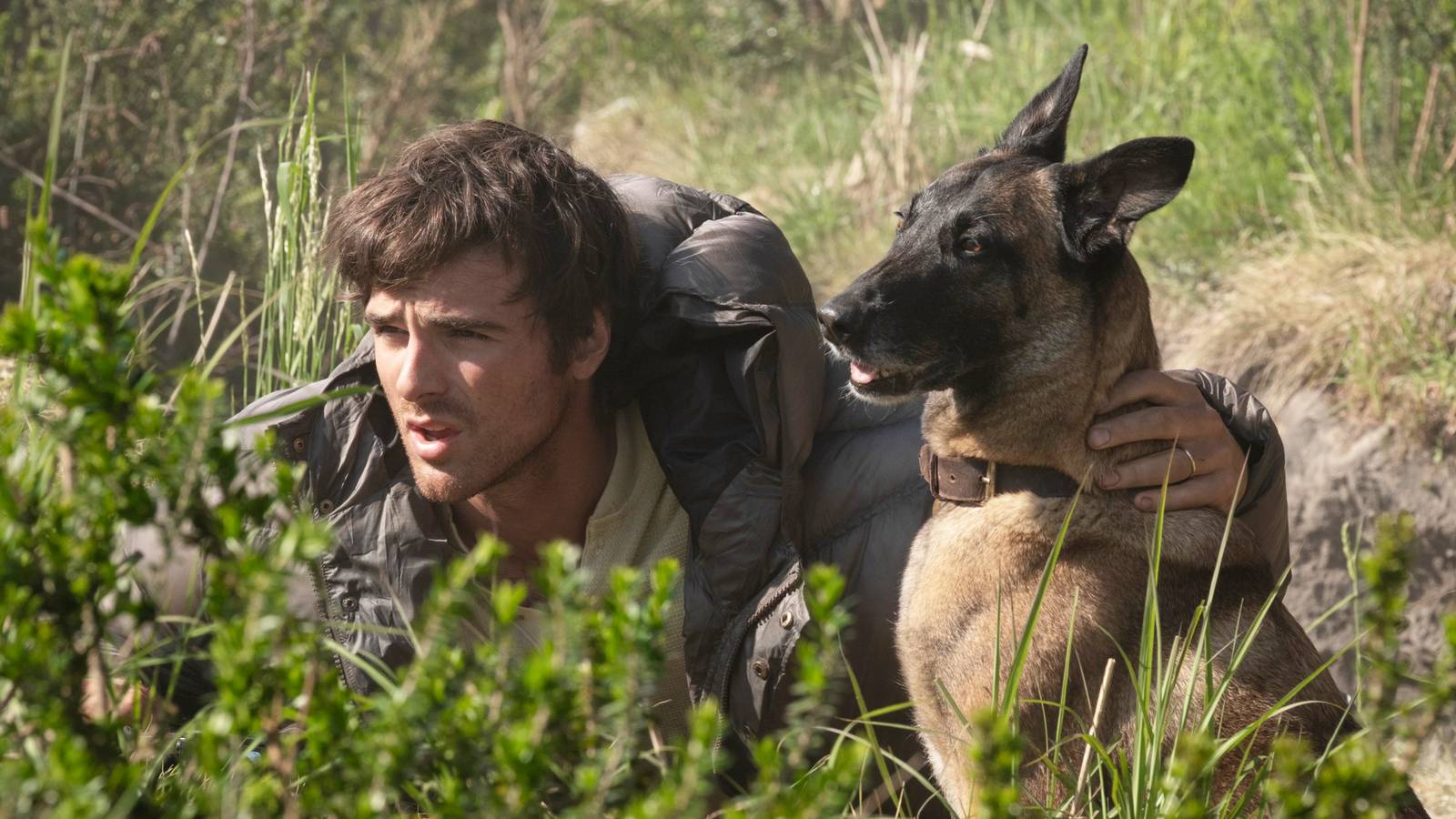Win Tickets to Our 'The Dog Stars' IMAX Screening With Ridley Scott Q&A