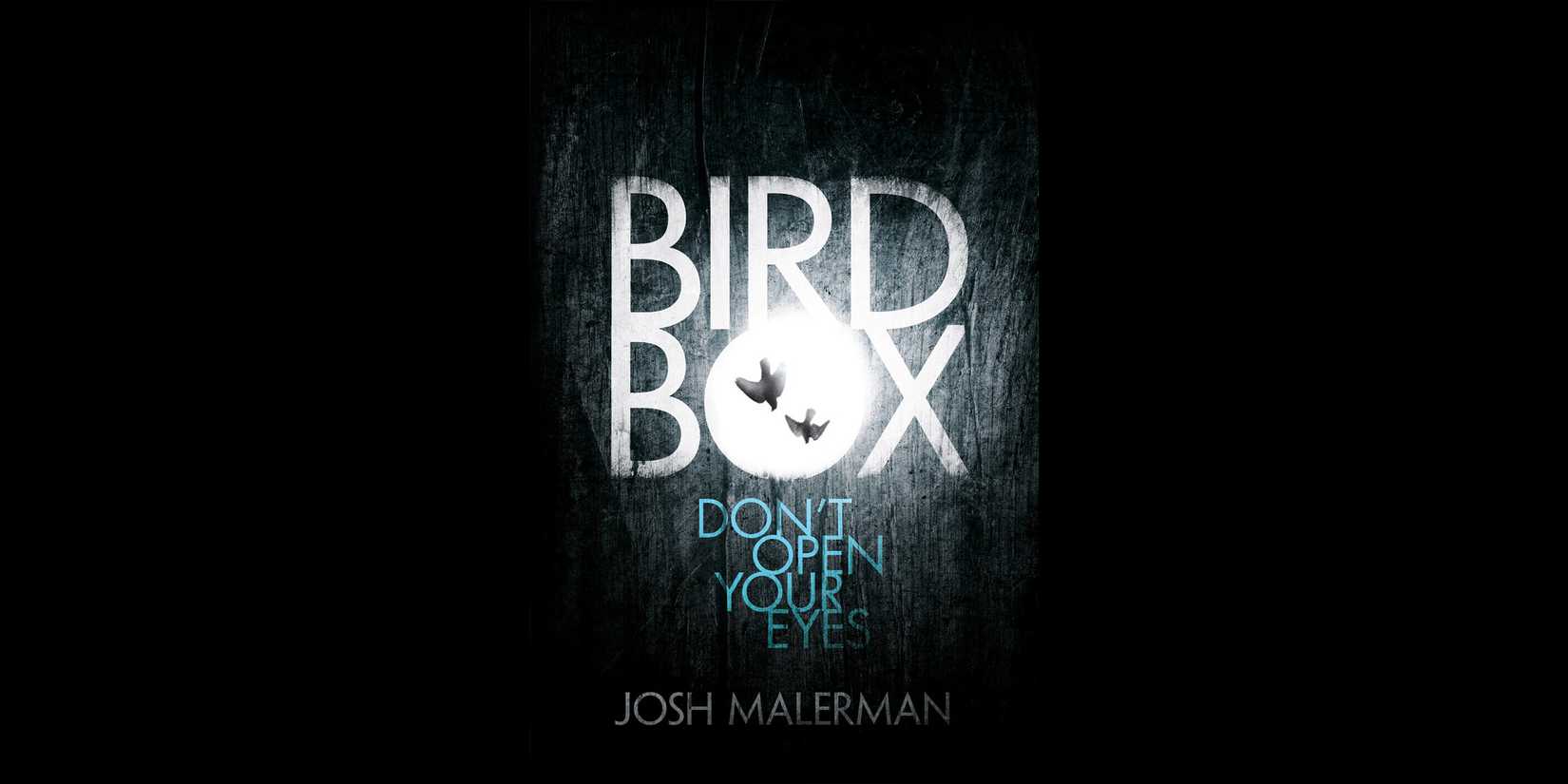 Bird-Box book Cover