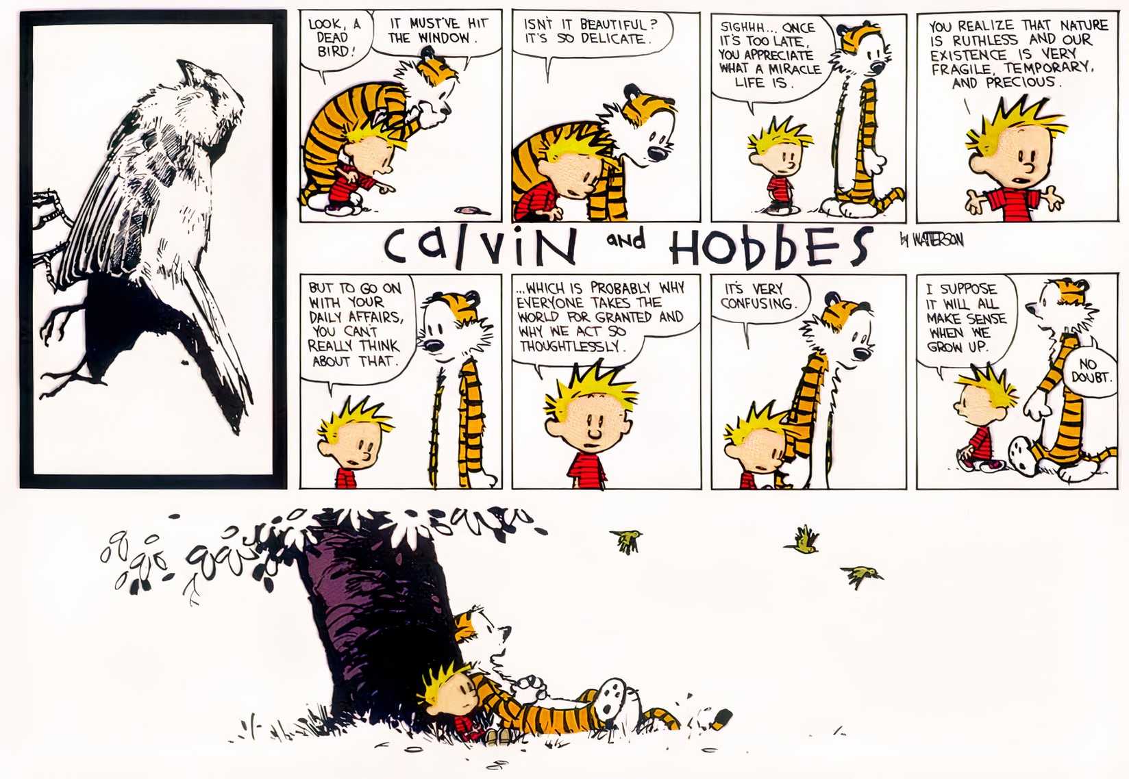Calvin and Hobbes talk about a dead bird in 'Calvin and Hobbes'