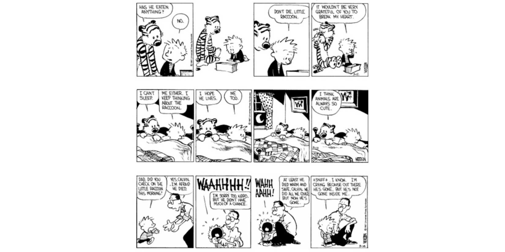Calvin and Hobbes' infamous The Raccoon Story.