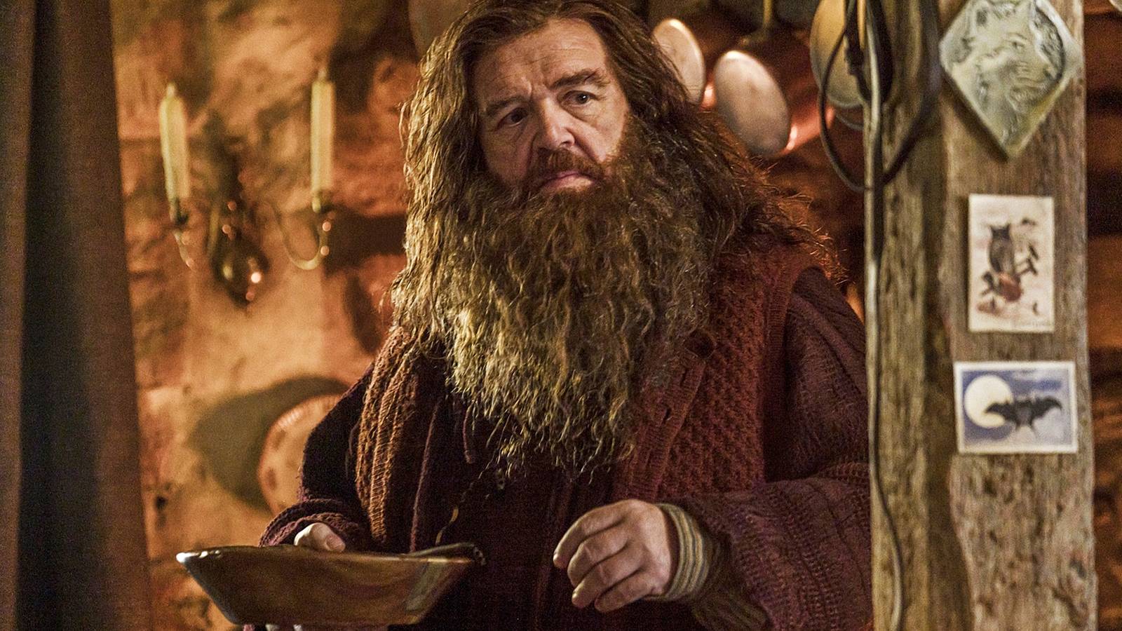 HBO's Harry Potter and Hagrid Officially Arrive on Streaming 2 Months Early