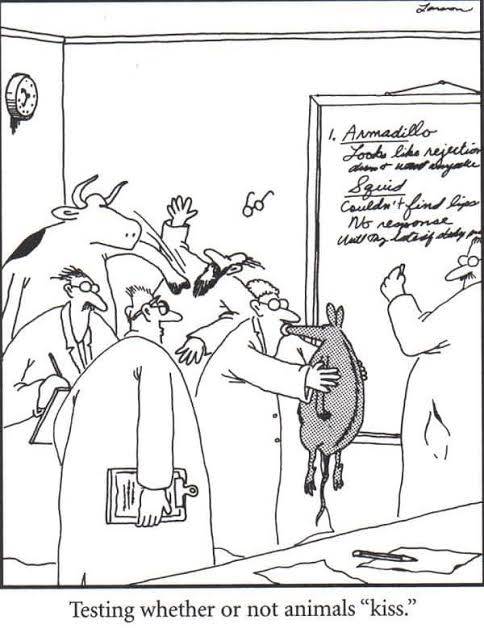 The Far Side