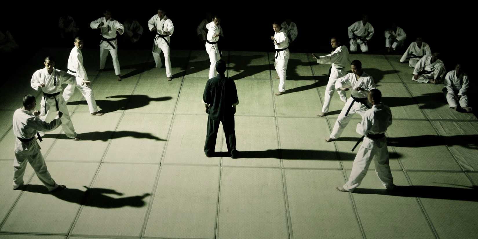 Ip Man - 2008