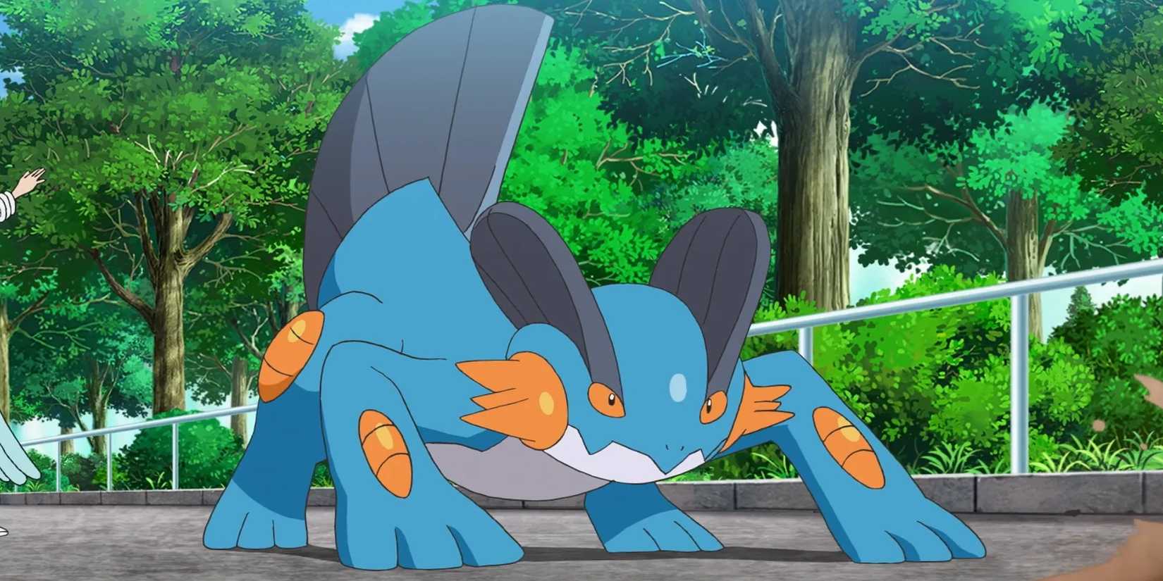 Swampert prepares for battle