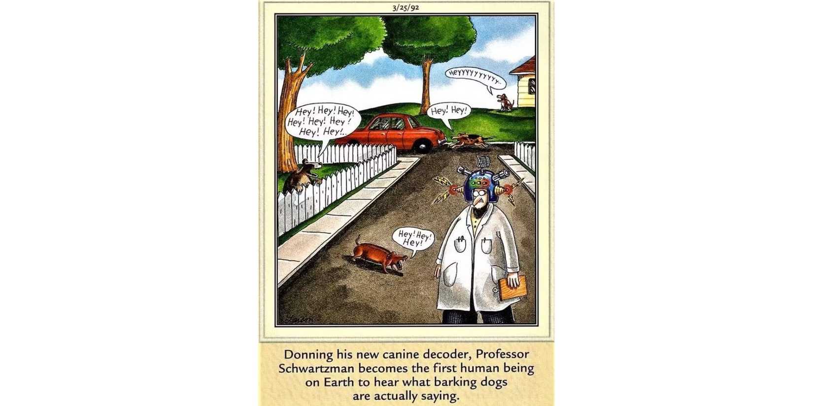 'Professor Schwartzman's Canine Decoder' (1991)