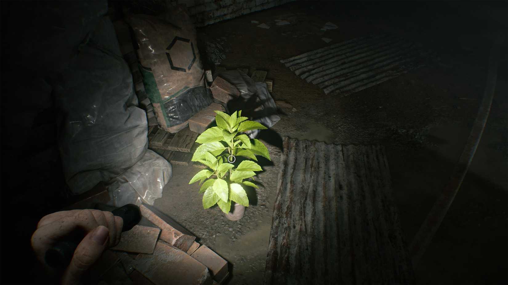Green herb form Resident Evil.