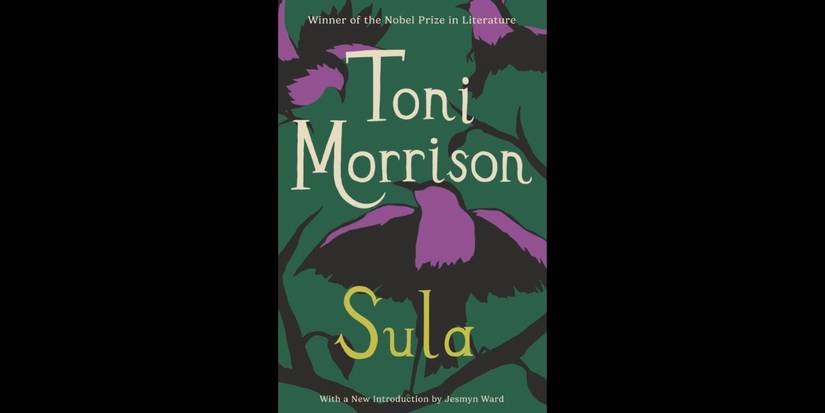 Sula by Toni Morrison book cover.