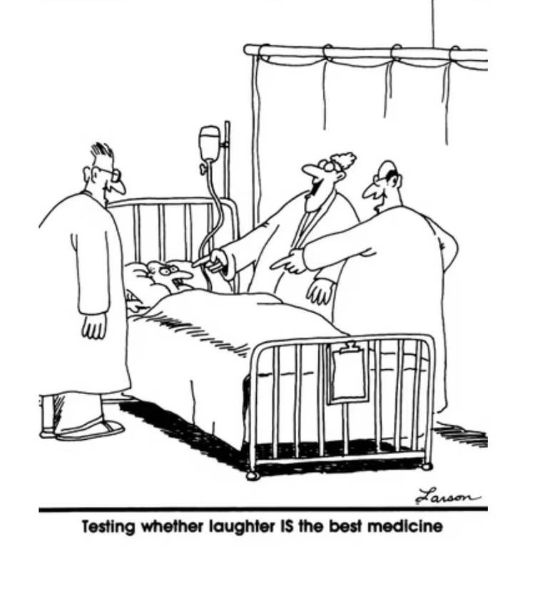 Laughter in 'The Far Side'