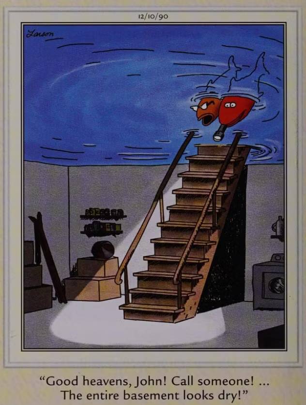 A dry fish basement in 'The Far Side'