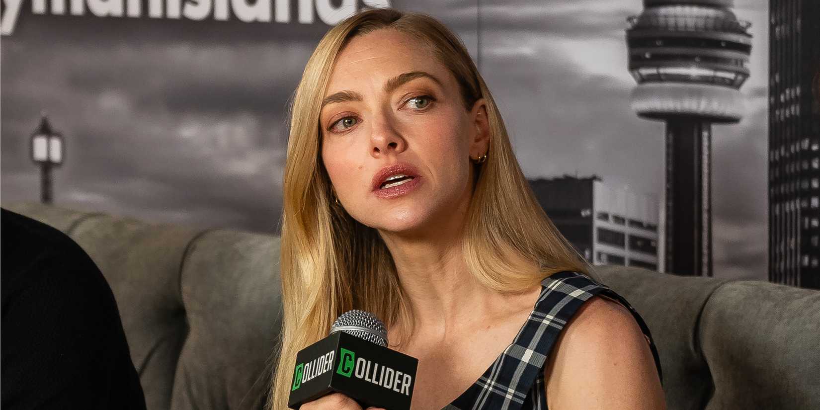 the-life-and-deaths-of-wilson-shedd-amanda-seyfried