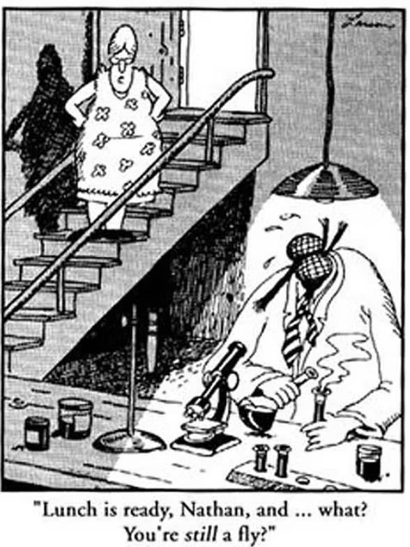 Fly Scientist