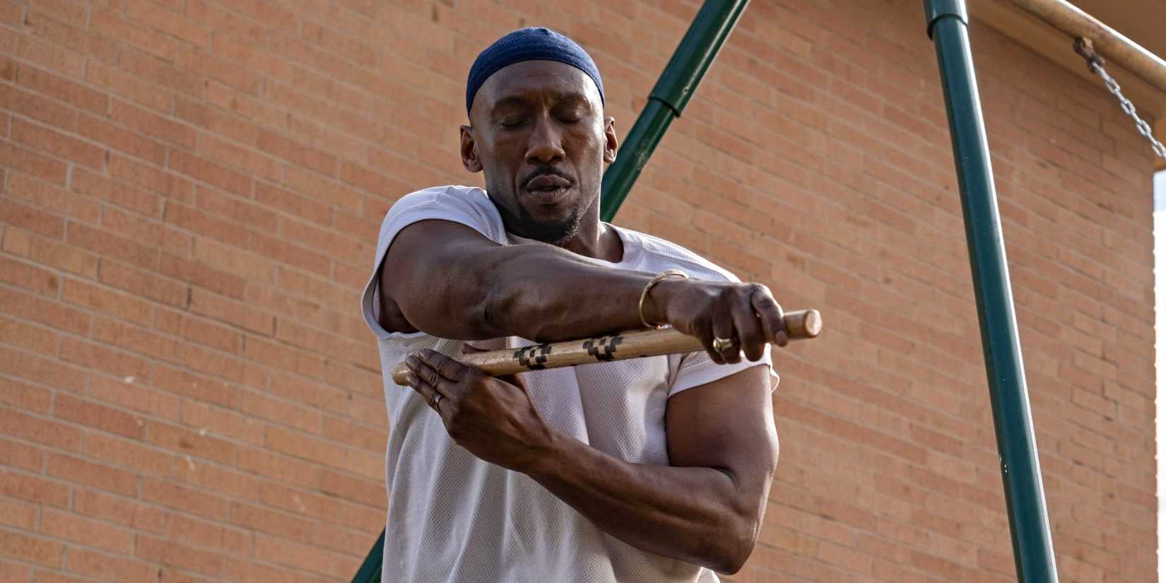 Mahershala Ali in Your Mother Your Mother Your Mother