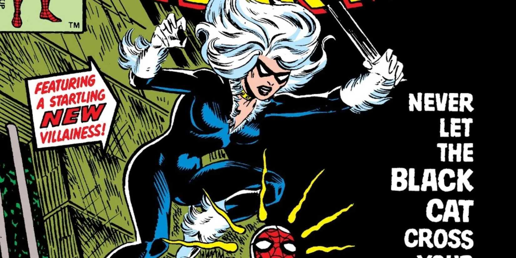 Black Cat sneaking up on Spider-Man in Marvel Comics