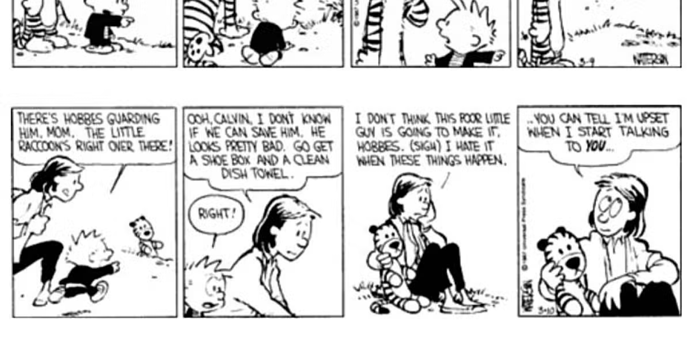 calvin-and-hobbes-raccoon-1 'Calvin and Hobbes' Greatest Story Is Still a Masterpiece Almost 40 Years Later