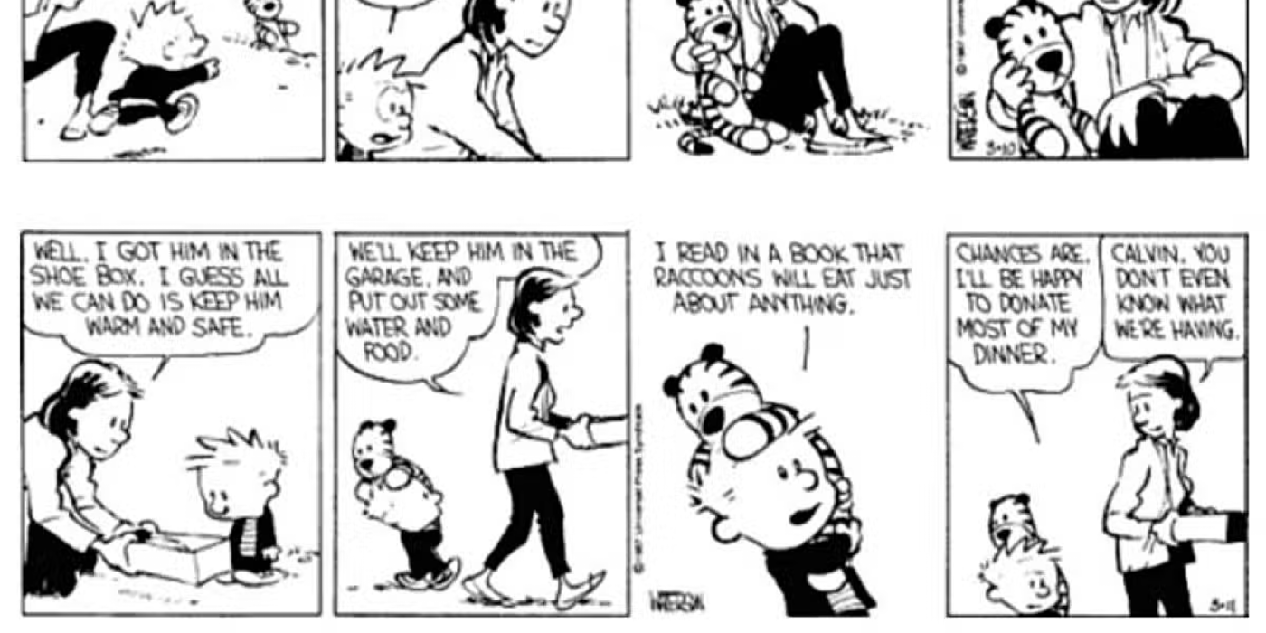 calvin-and-hobbes-raccoon-2 'Calvin and Hobbes' Greatest Story Is Still a Masterpiece Almost 40 Years Later