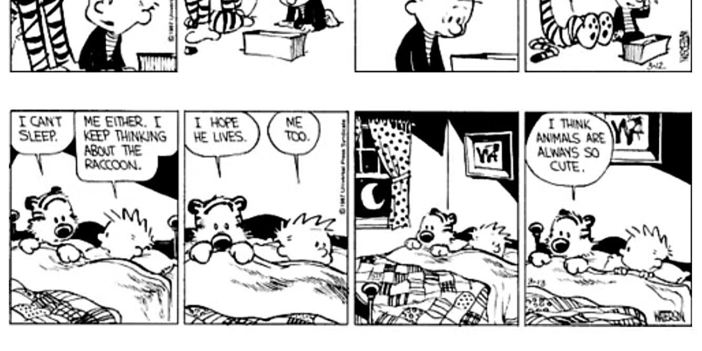 calvin-and-hobbes-raccoon-3 'Calvin and Hobbes' Greatest Story Is Still a Masterpiece Almost 40 Years Later