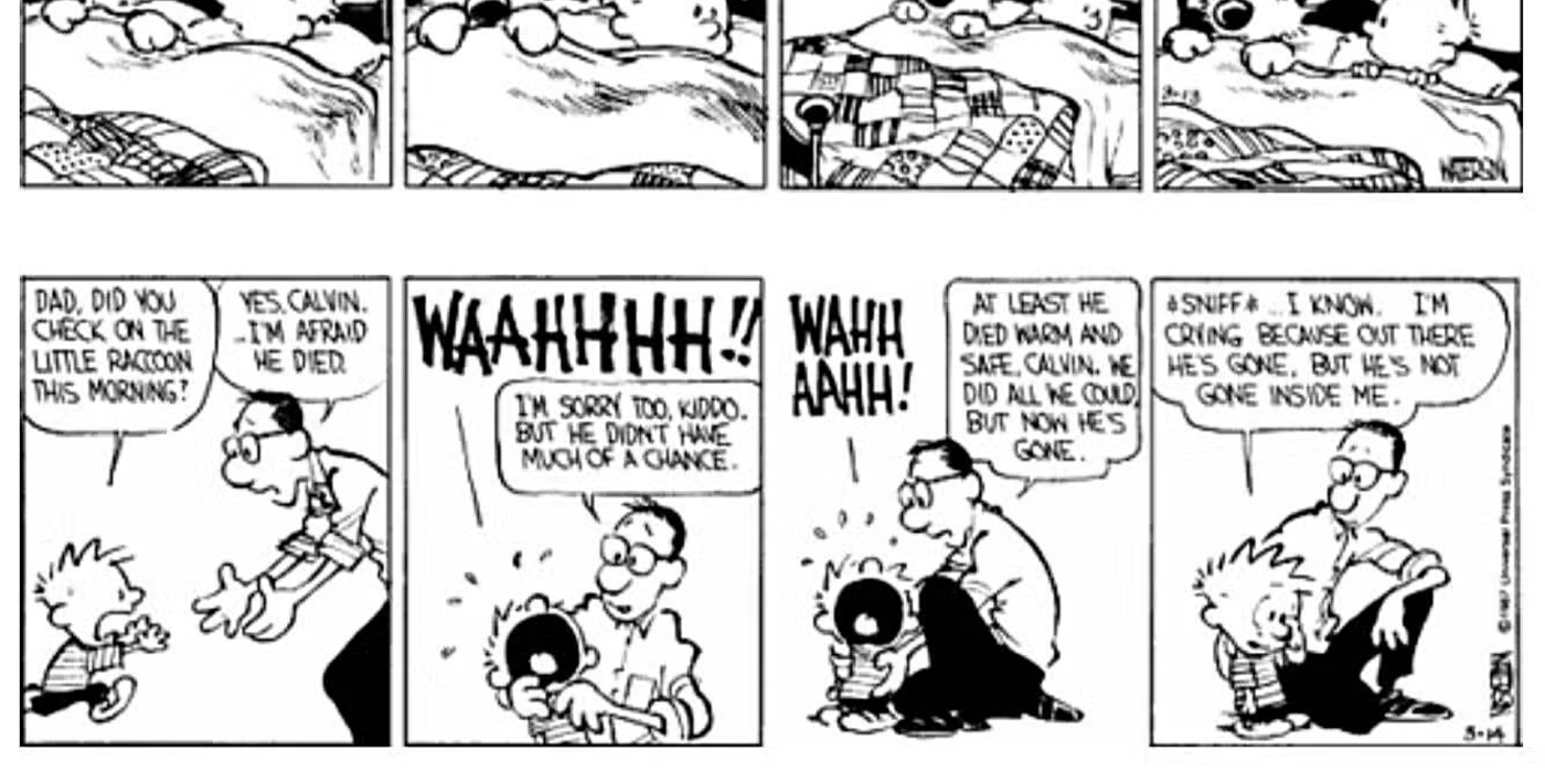 calvin-and-hobbes-raccoon-4 'Calvin and Hobbes' Greatest Story Is Still a Masterpiece Almost 40 Years Later
