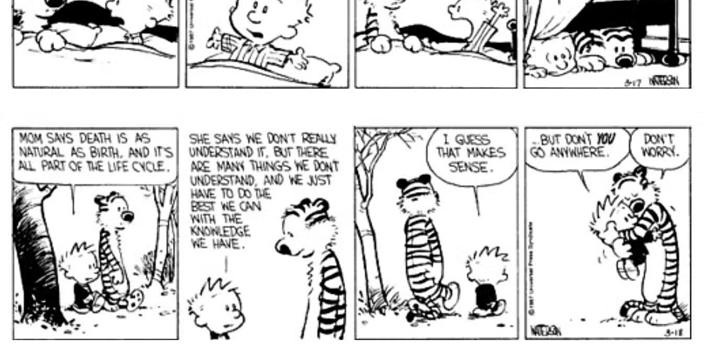 calvin-and-hobbes-raccoon-5 'Calvin and Hobbes' Greatest Story Is Still a Masterpiece Almost 40 Years Later