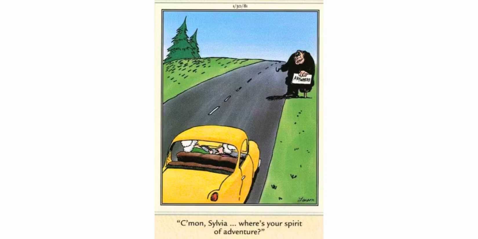 Far Side Sylvia
