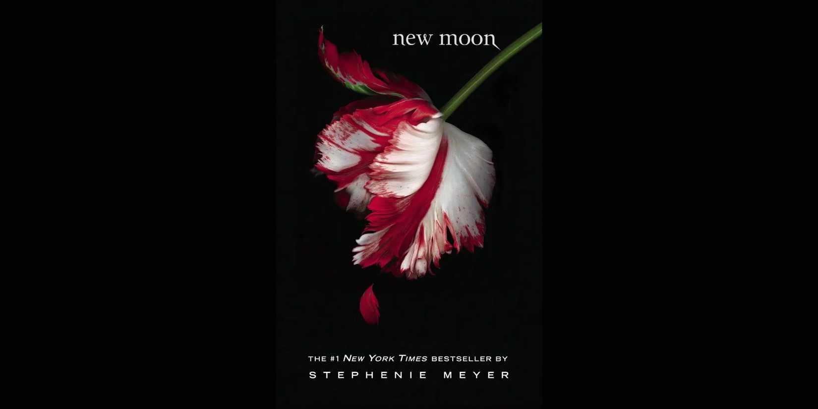 New Moon book cover