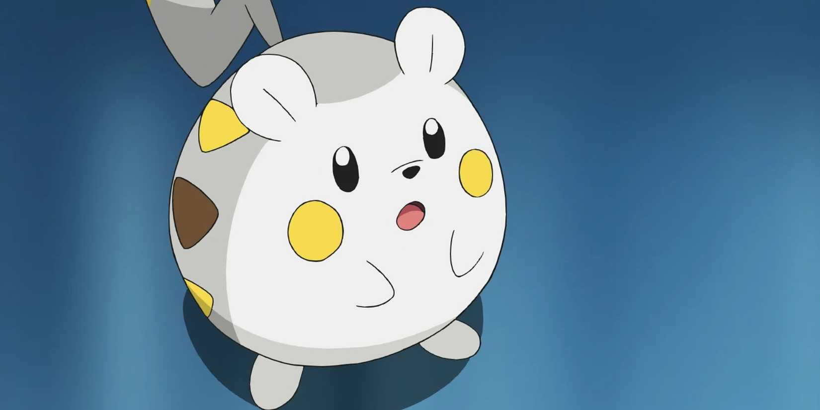 Togedemaru looks confused