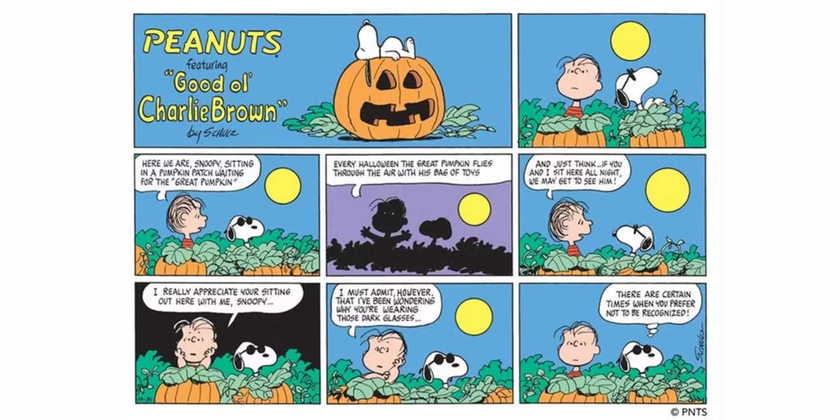 Snoopy Doesn't Want To Be Recognized With Linus
