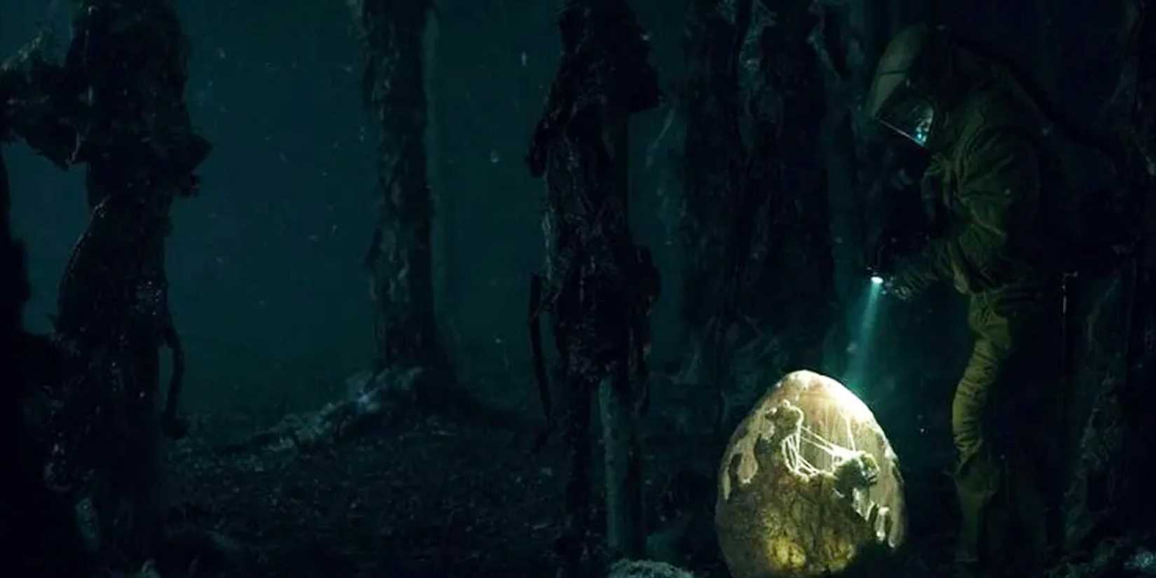 Person wanders through the Upside Down and spots an egg on 'Stranger Things'