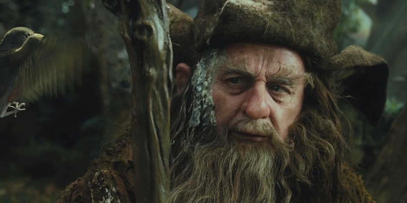 Radagast the Brown in the forest