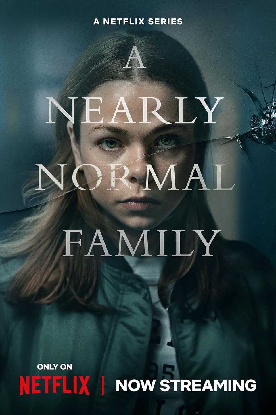 A Nearly Normal Family Netflix Poster