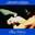 Blue Velvet