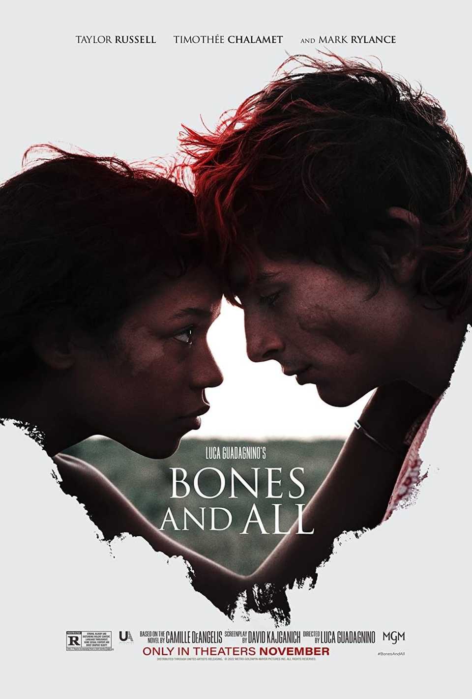 Kemikler ve tüm film posteri