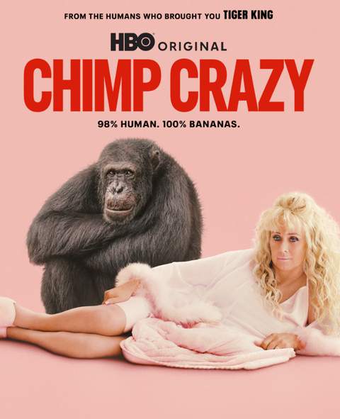 Chimp Crazy | Collider