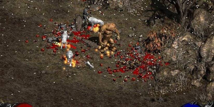 diablo-2-werewolf-fight-scene.jpg