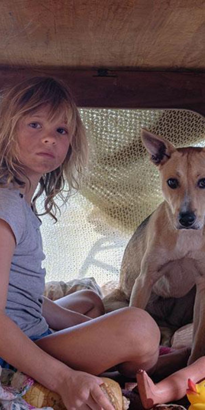 Don&rsquo;t Let&rsquo;s Go to the Dogs Tonight